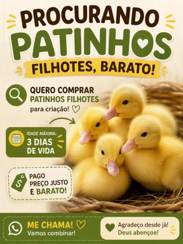 Procuro filhote recem nascido de pato