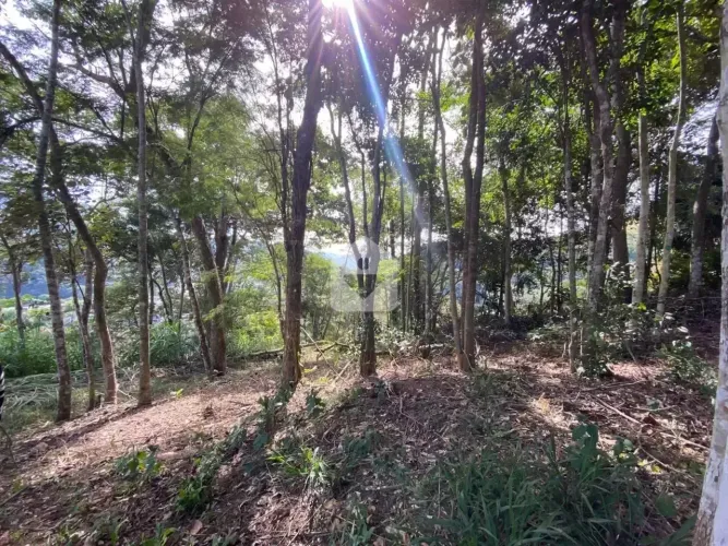 Terreno para venda, 1293m² - Itaipava - Petrópolis/RJ