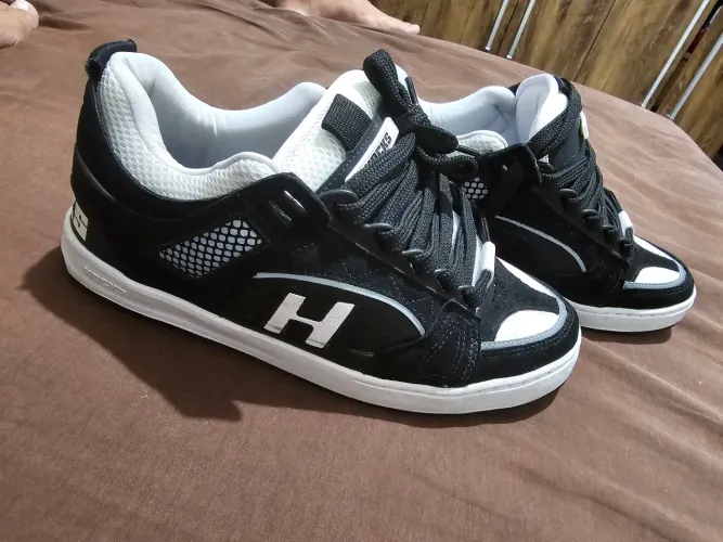 Hocks novo 43