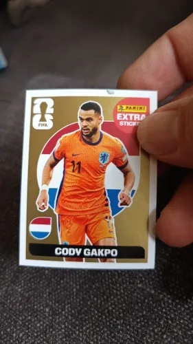 Copa do mundo 