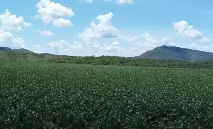 Fazenda 535 Alqueires - 2.590 Hectares - Vila Propicio - GO R$ 64 Milhões