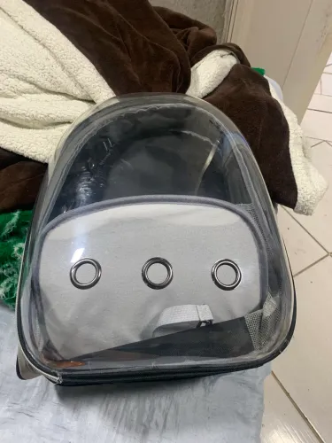 Mochila pet