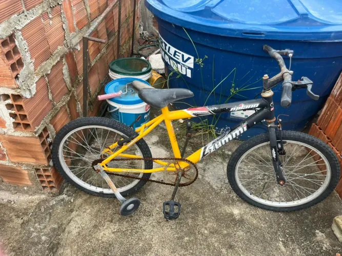 Bicicleta 14