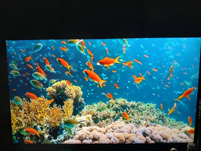 Oportunidade TV 43 polegadas Novíssima