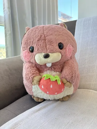 Pelúcia Bolota de Castor Rosa