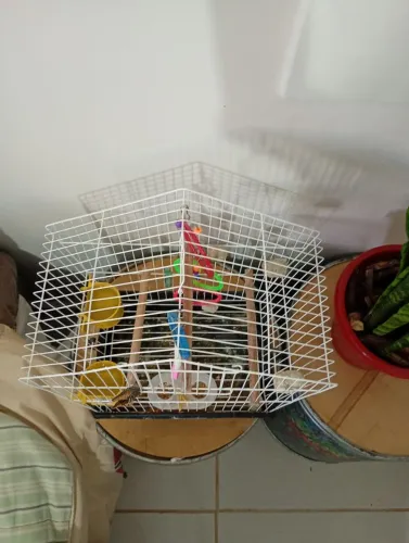 Gaiola para Calopsita e Passarinho 