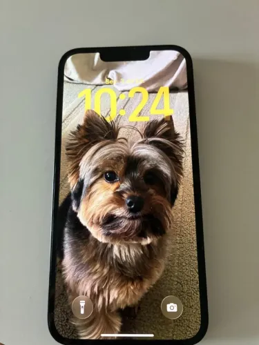 iphone13