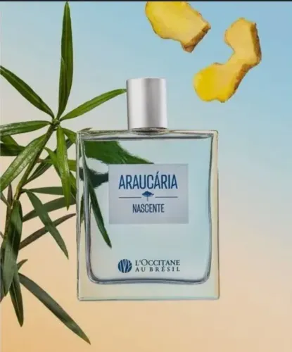 Perfume