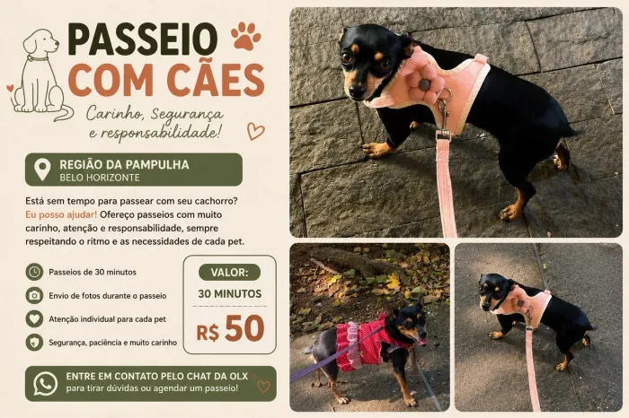 Passeador de Cachorro