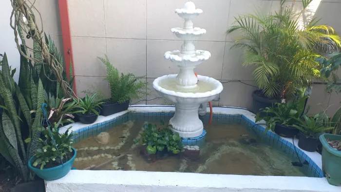 Vendo  cascata de cimento  
