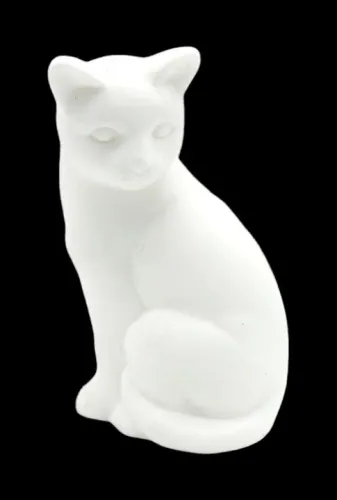 Gatinho Branco