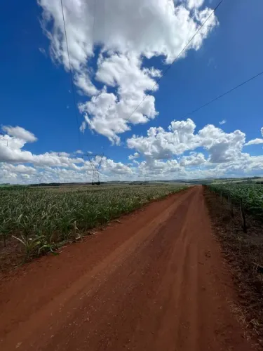 Fazenda em Inhumas e Itauçú-Go 333 alqueires 