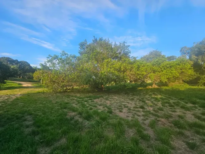 Imóvel para venda possui 2000 metros quadrados em Água Branca (Bacaxá) - Saquarema - RJ