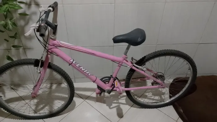 Bicicleta Wendy Rosa - Perfeita para Passeios!