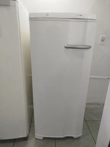 Freezer Vertical Electrolux 