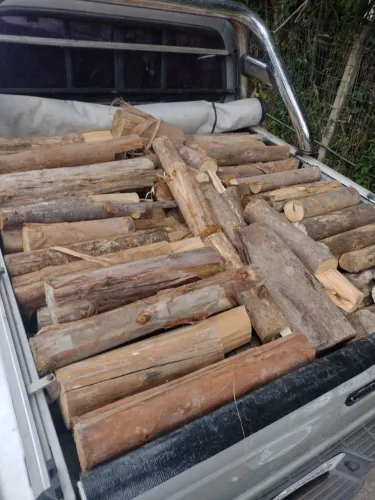Lenha para lareira ,fogão a lenha e churrasco