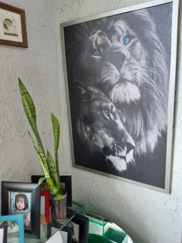 Quadro de Leão