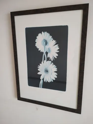 QUADRO DECORATIVO - FOTOGRAFIA FLORAL