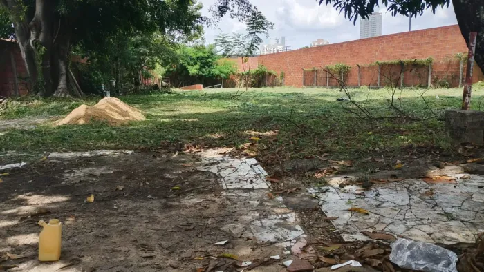 Manutenção de jardim / roçagem de terrenos
