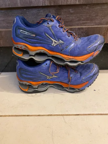 Mizuno prophecy 2