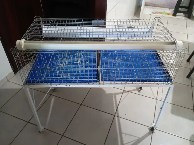 Viveiro para pintinhos