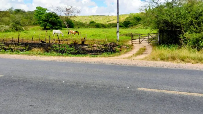Terreno com 32 tarefas