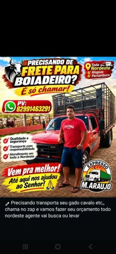 Frete caminhão boiadeiro melhor preço da região