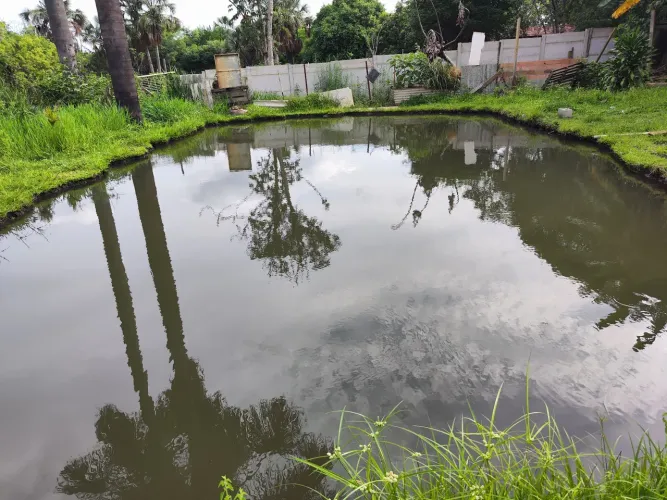 CHÁCARA EM ARAGOIÂNIA