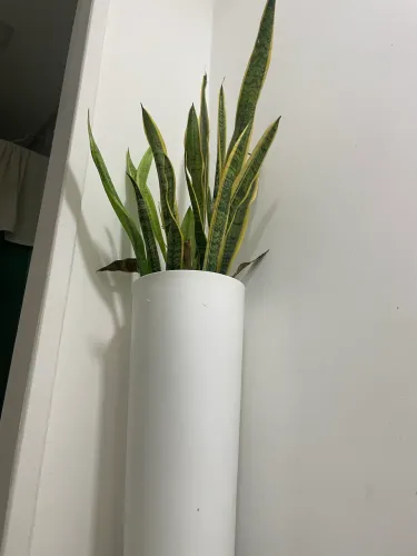 Jarro NOVO para planta