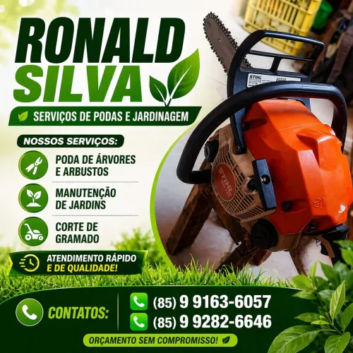 Poldas e derrubas de árvores. Jardinagem em geral