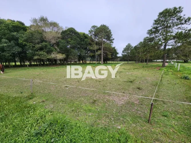 Oportunidade! Terreno em Canasvieiras - Florianópolis