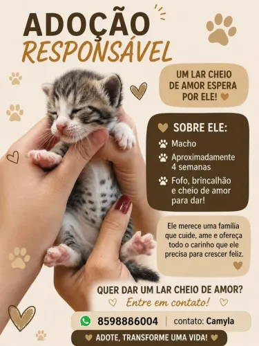 Adoção responsável urgente.