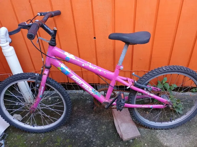 Bicicleta infantil Mormaii next