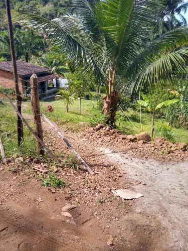 Vendo pequeno sítio no município de jaguaripe 