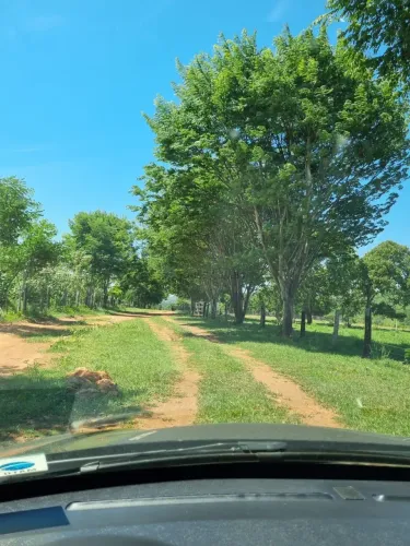 EXCELENTE FAZENDA A VENDA EM CÁCERES