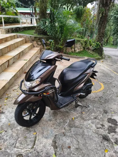 Fluo 125 ano 2025