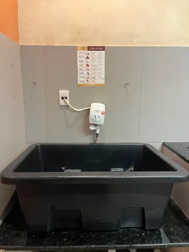 Banheira para pet com degrau