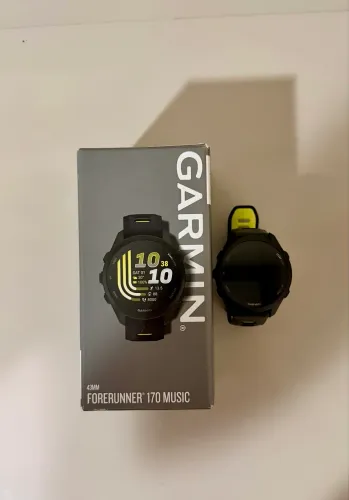 Garmin 170 music