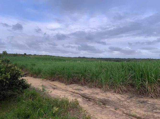Terreno a venda