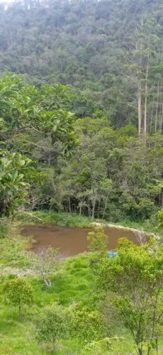Sítio vendido por Hectare 