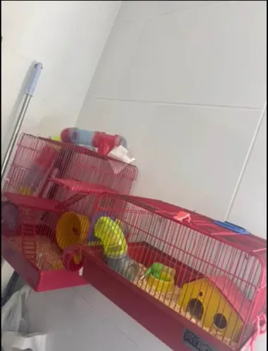 Casinha de hamster