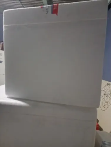 Vendo caixa isopor e forma gelo