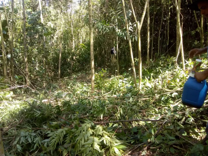 Vendo terreno em Tapiraí