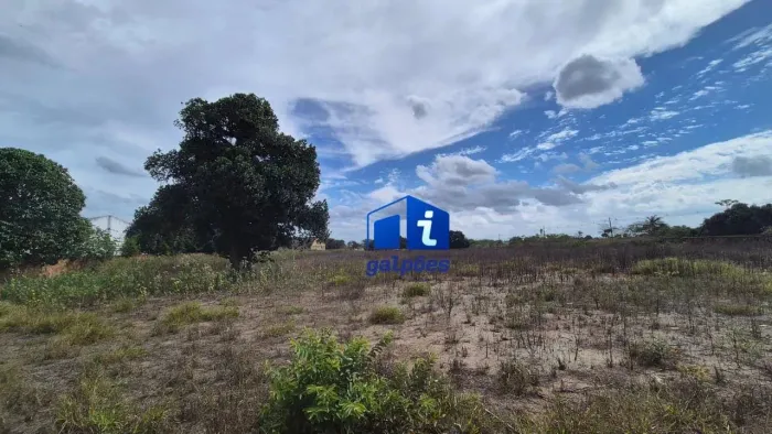 Terreno com 20.000 m² em setor comercial em Carpina - PE