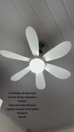 Ventilador de teto pequeno