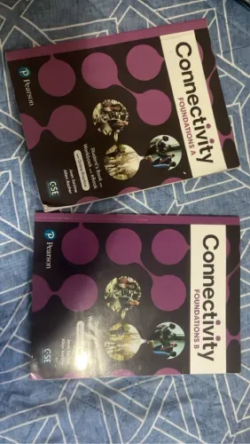 Vendo livros connectivity B1 e B2