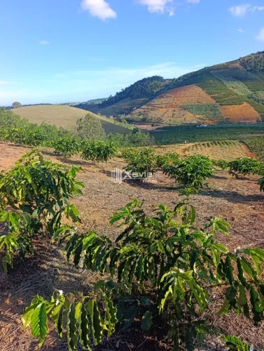 Terreno Rural à Venda com 48.400 m² e 9.000 Pés de Café em Produção, Anchieta/ES