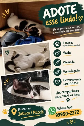 Doação responsável