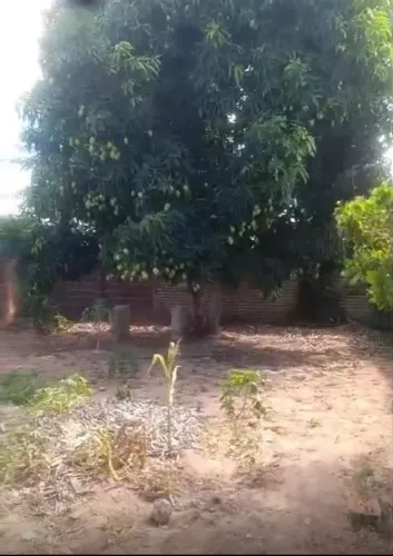 Vendo terreno em VERA CRUZ
