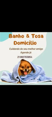 Banho e tosa domicílio